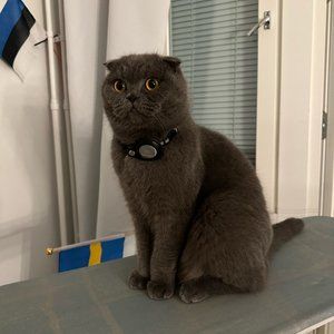 Cat Collar with Apple Airtag Pocket - Waterproof & Reflective